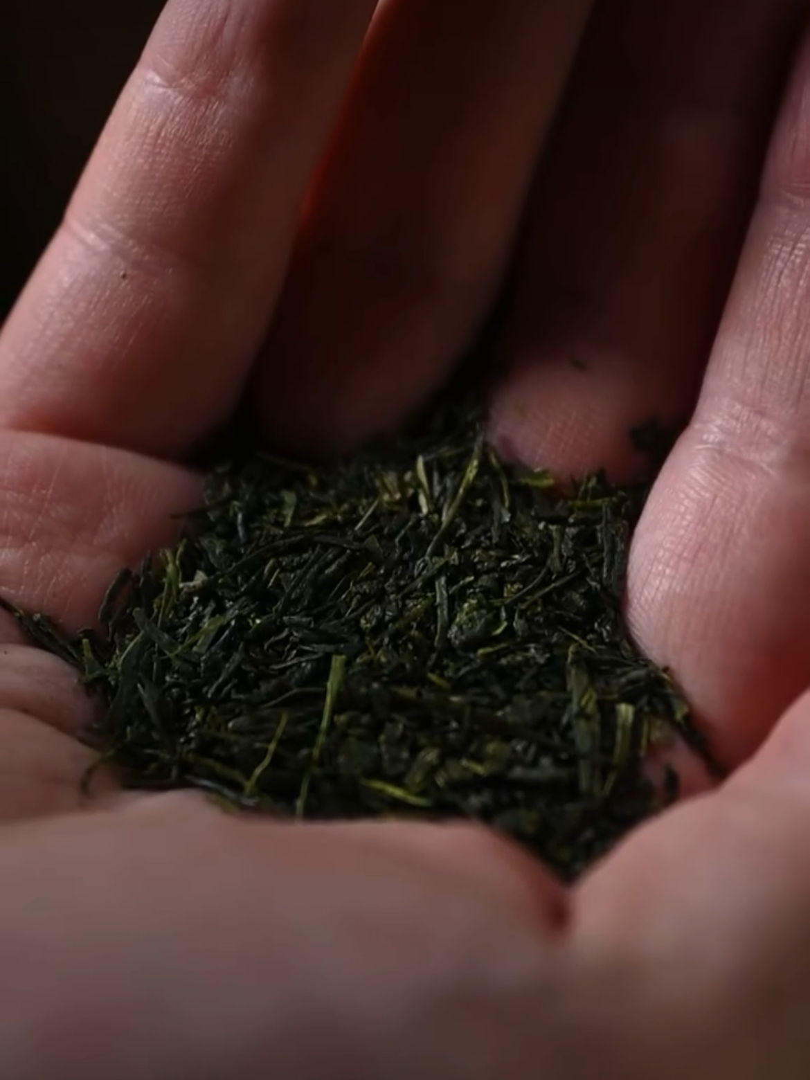 Hands holding finished tea leaves.