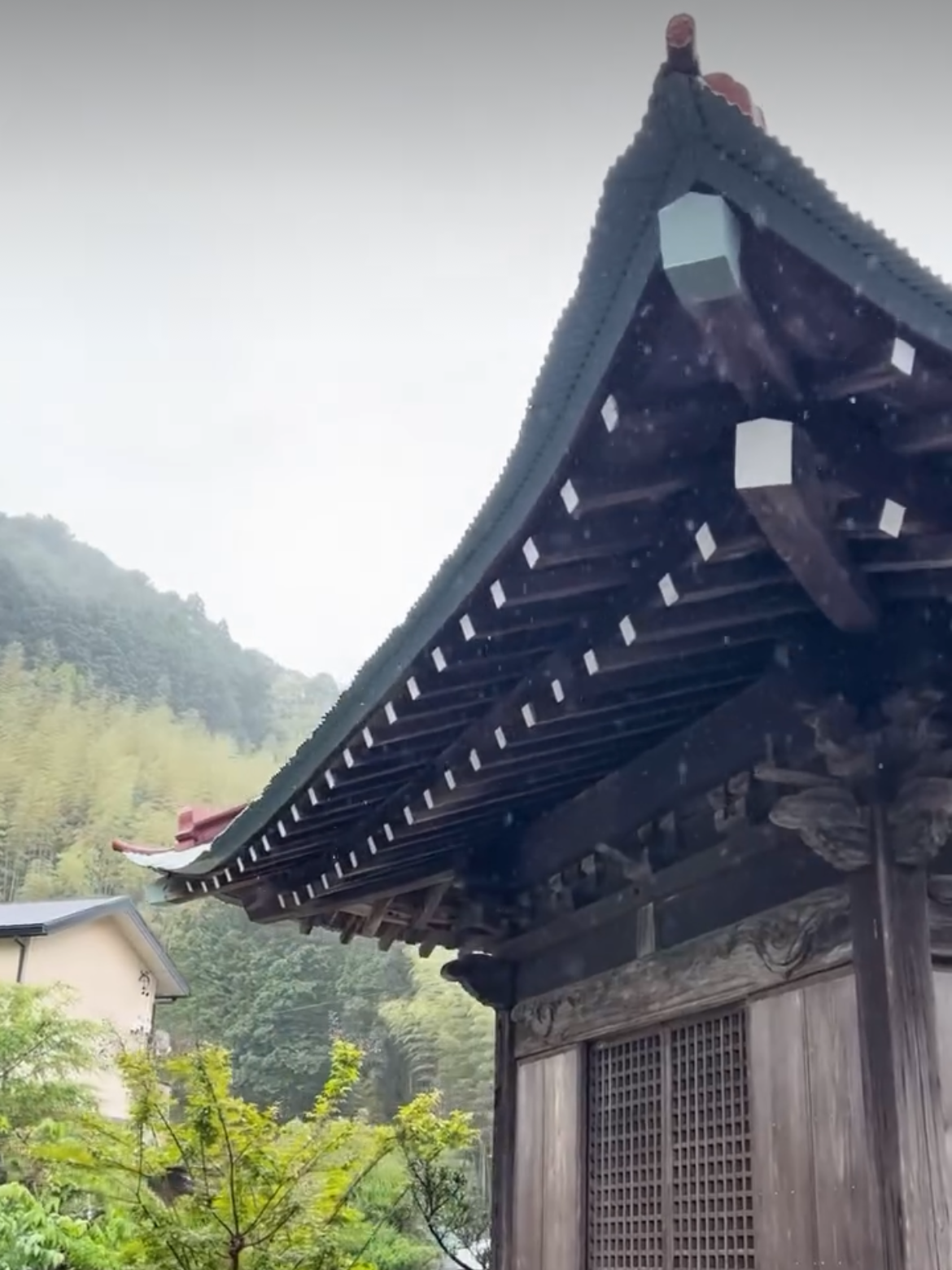 A traditional roof against forested mountains.
