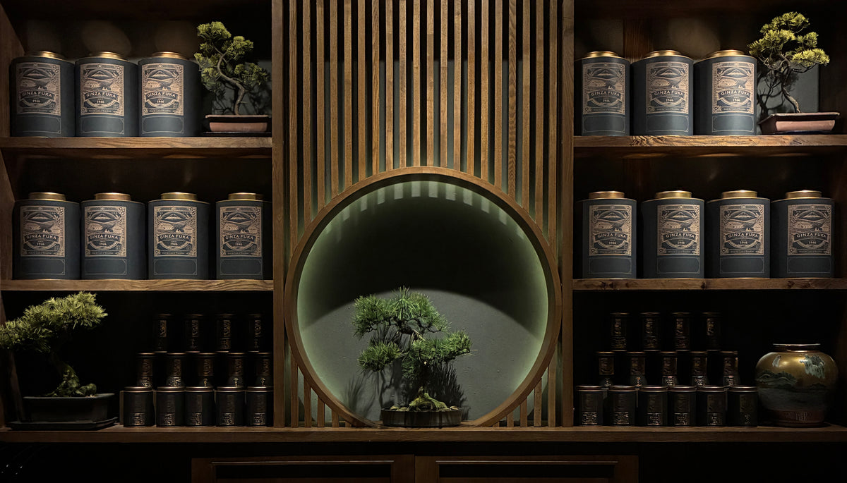 Bonsai and Japanese tea canisters displayed on the wooden shelves at GINZA FUKA